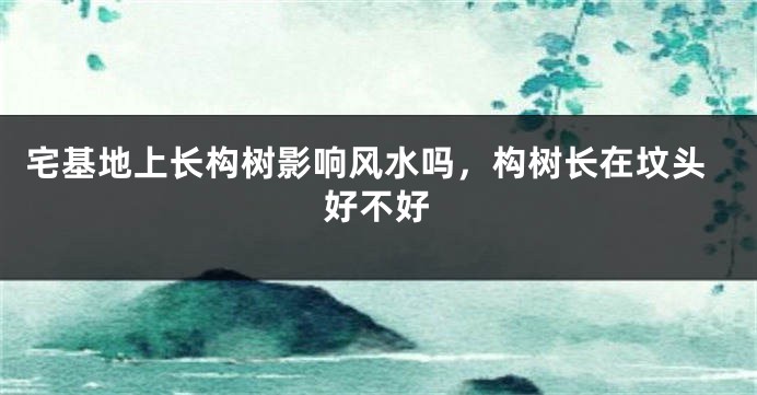 宅基地上长构树影响风水吗，构树长在坟头好不好