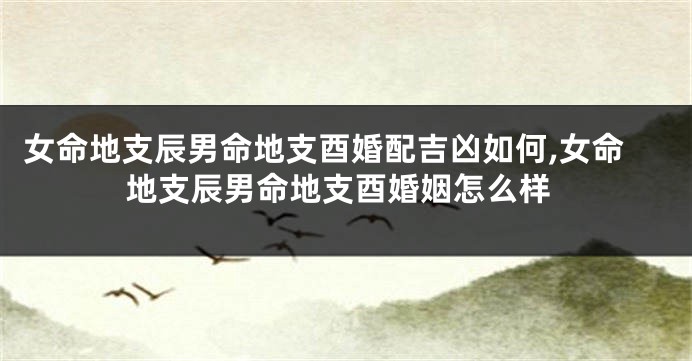 女命地支辰男命地支酉婚配吉凶如何,女命地支辰男命地支酉婚姻怎么样