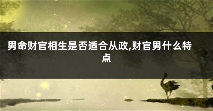 男命财官相生是否适合从政,财官男什么特点