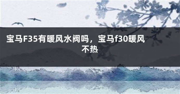 宝马F35有暖风水阀吗，宝马f30暖风不热