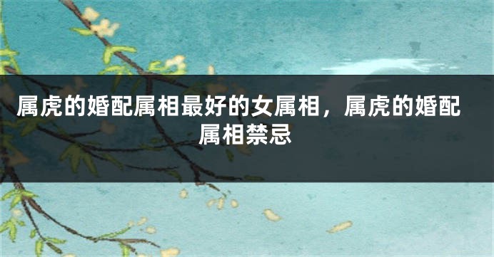 属虎的婚配属相最好的女属相，属虎的婚配属相禁忌