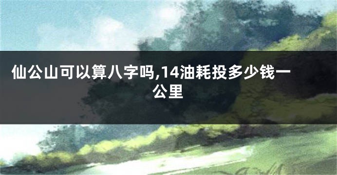 仙公山可以算八字吗,14油耗投多少钱一公里