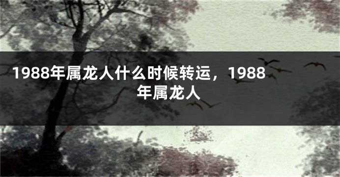 1988年属龙人什么时候转运，1988年属龙人