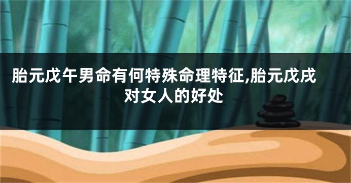 胎元戊午男命有何特殊命理特征,胎元戊戌对女人的好处