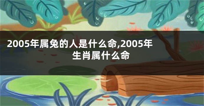 2005年属兔的人是什么命,2005年生肖属什么命