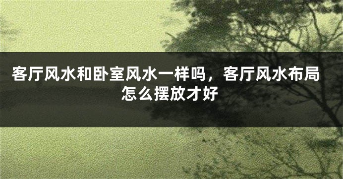 客厅风水和卧室风水一样吗，客厅风水布局怎么摆放才好