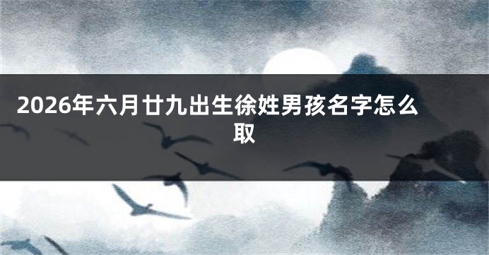 2026年六月廿九出生徐姓男孩名字怎么取
