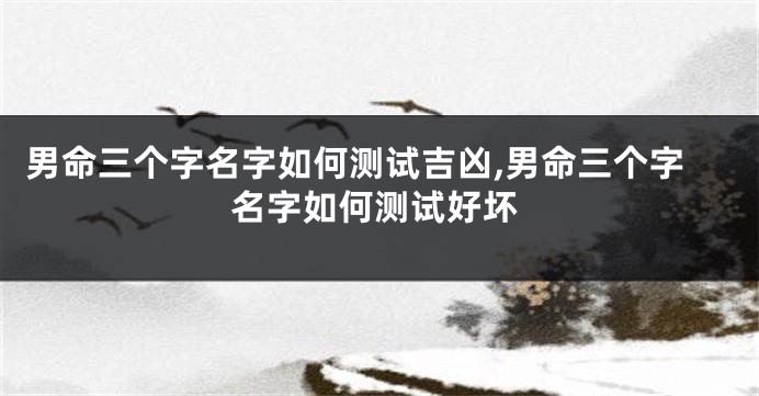 男命三个字名字如何测试吉凶,男命三个字名字如何测试好坏