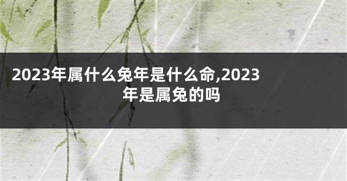 2023年属什么兔年是什么命,2023年是属兔的吗