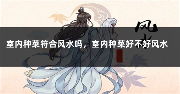 室内种菜符合风水吗，室内种菜好不好风水
