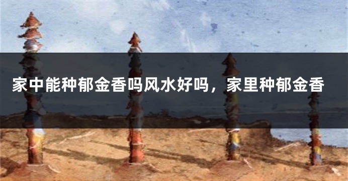 家中能种郁金香吗风水好吗，家里种郁金香