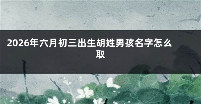 2026年六月初三出生胡姓男孩名字怎么取