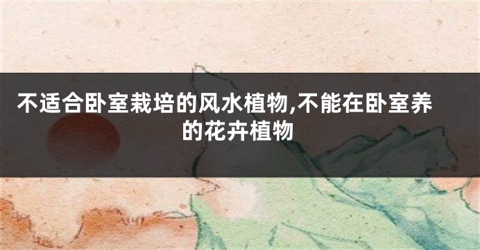 不适合卧室栽培的风水植物,不能在卧室养的花卉植物