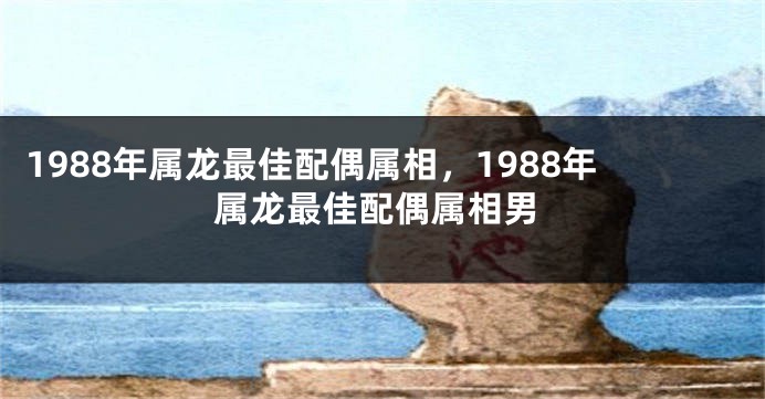 1988年属龙最佳配偶属相，1988年属龙最佳配偶属相男