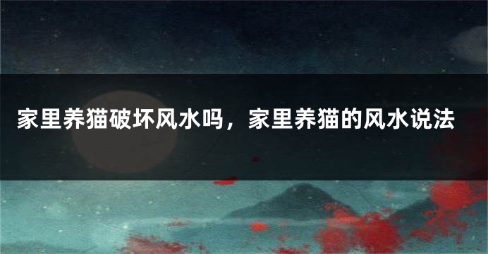 家里养猫破坏风水吗，家里养猫的风水说法