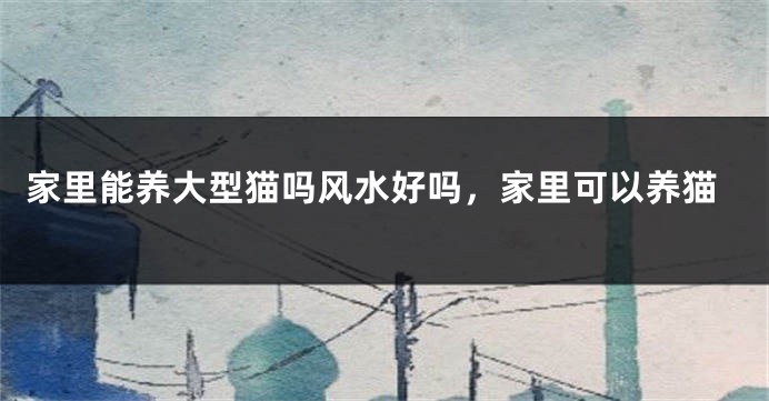 家里能养大型猫吗风水好吗，家里可以养猫