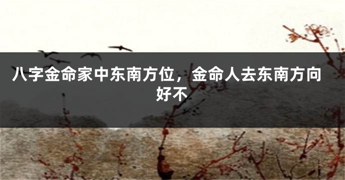 八字金命家中东南方位，金命人去东南方向好不