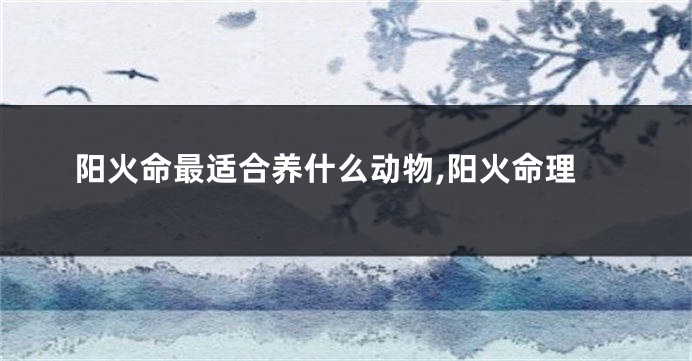 阳火命最适合养什么动物,阳火命理