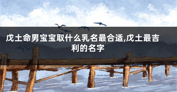 戊土命男宝宝取什么乳名最合适,戊土最吉利的名字