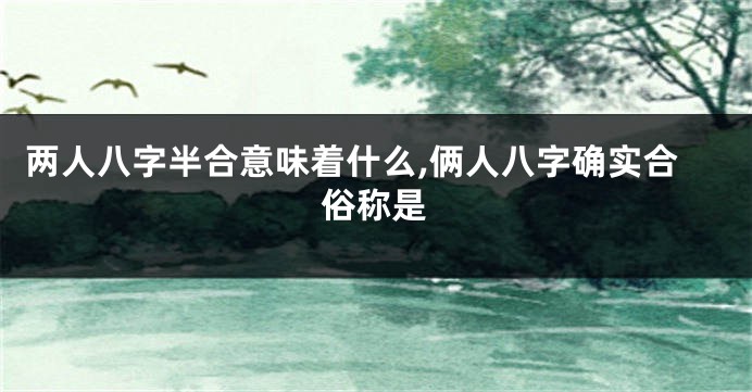 两人八字半合意味着什么,俩人八字确实合俗称是