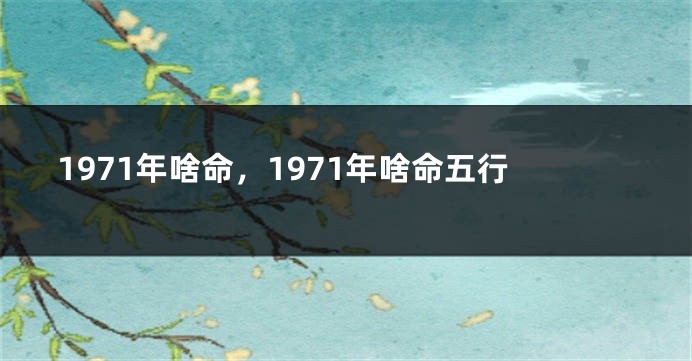 1971年啥命，1971年啥命五行