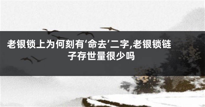 老银锁上为何刻有‘命去’二字,老银锁链子存世量很少吗