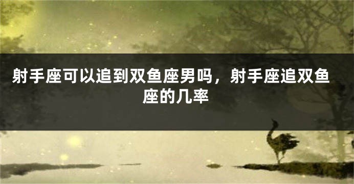 射手座可以追到双鱼座男吗,射手座追双鱼座的几率