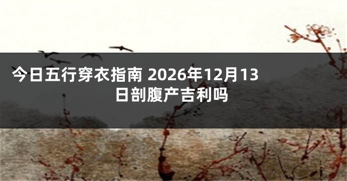 今日五行穿衣指南 2026年12月13日剖腹产吉利吗