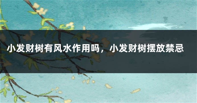 小发财树有风水作用吗,小发财树摆放禁忌