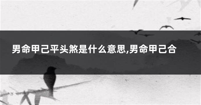 男命甲己平头煞是什么意思,男命甲己合
