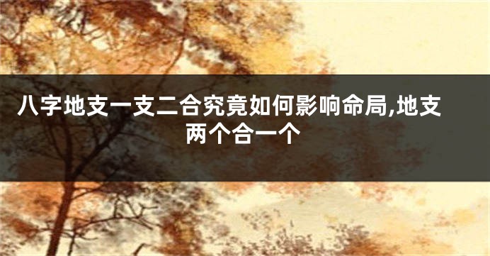 八字地支一支二合究竟如何影响命局,地支两个合一个