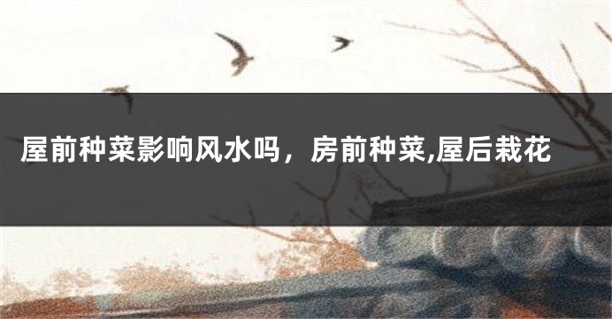 屋前种菜影响风水吗,房前种菜,屋后栽花