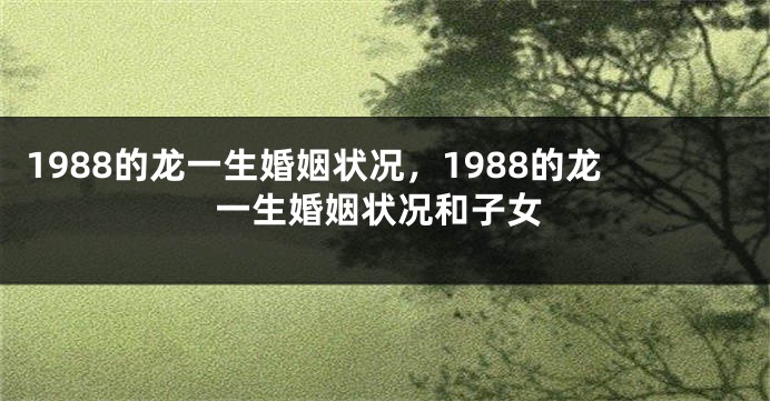 1988的龙一生婚姻状况，1988的龙一生婚姻状况和子女