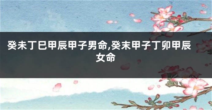 癸未丁巳甲辰甲子男命,癸末甲子丁卯甲辰女命