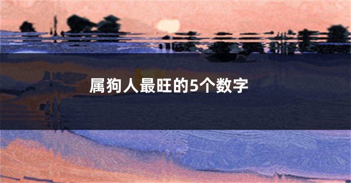 属狗人最旺的5个数字