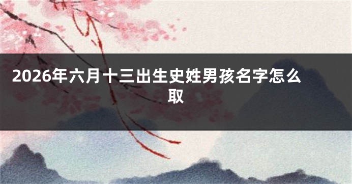 2026年六月十三出生史姓男孩名字怎么取