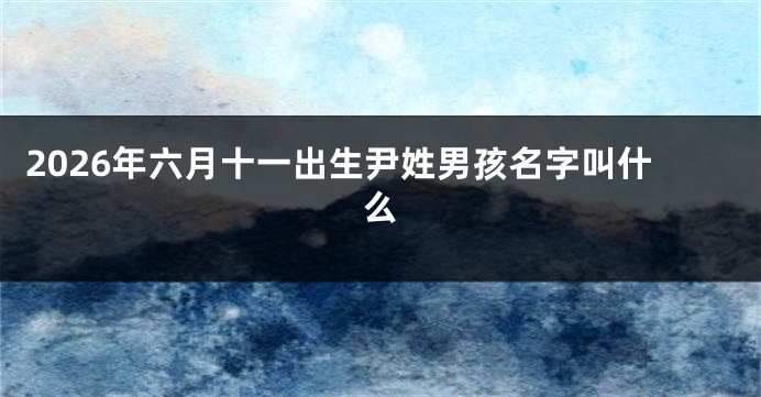 2026年六月十一出生尹姓男孩名字叫什么