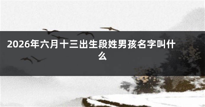 2026年六月十三出生段姓男孩名字叫什么