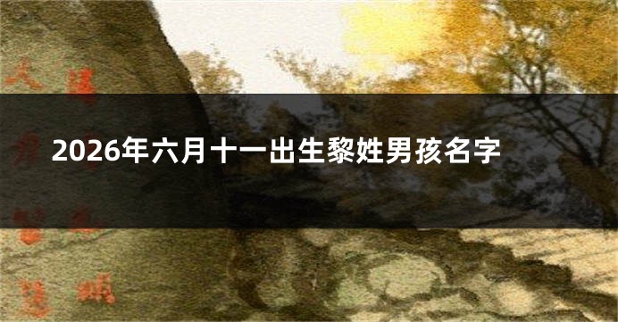 2026年六月十一出生黎姓男孩名字