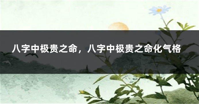 八字中极贵之命，八字中极贵之命化气格