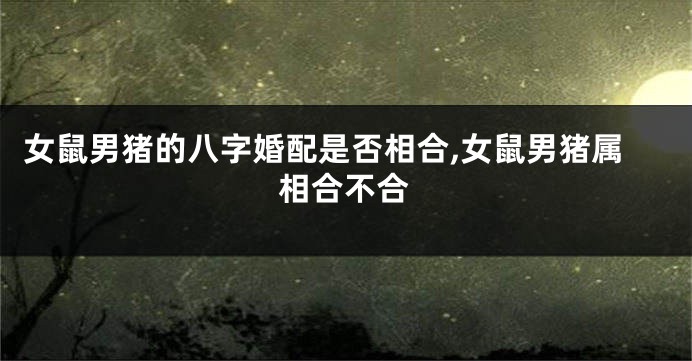 女鼠男猪的八字婚配是否相合,女鼠男猪属相合不合