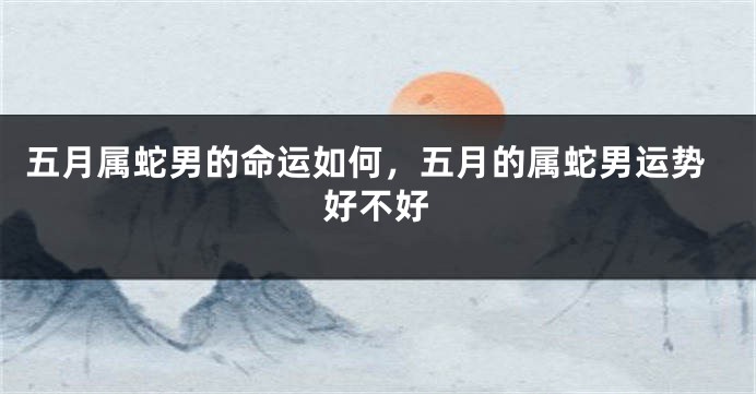 五月属蛇男的命运如何，五月的属蛇男运势好不好