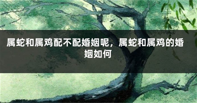 属蛇和属鸡配不配婚姻呢，属蛇和属鸡的婚姻如何