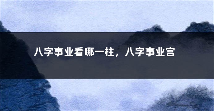 八字事业看哪一柱,八字事业宫