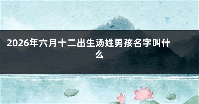 2026年六月十二出生汤姓男孩名字叫什么