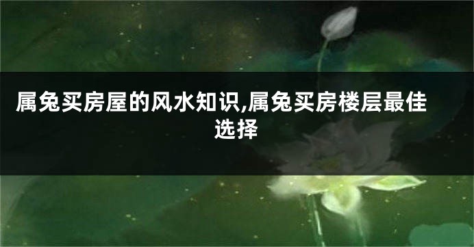 属兔买房屋的风水知识,属兔买房楼层最佳选择