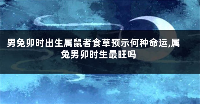 男兔卯时出生属鼠者食草预示何种命运,属兔男卯时生最旺吗