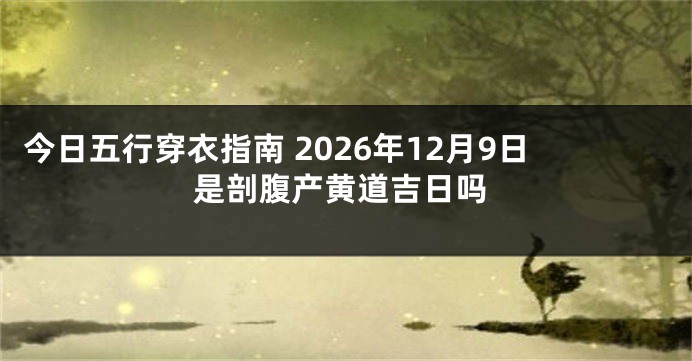 今日五行穿衣指南 2026年12月9日是剖腹产黄道吉日吗