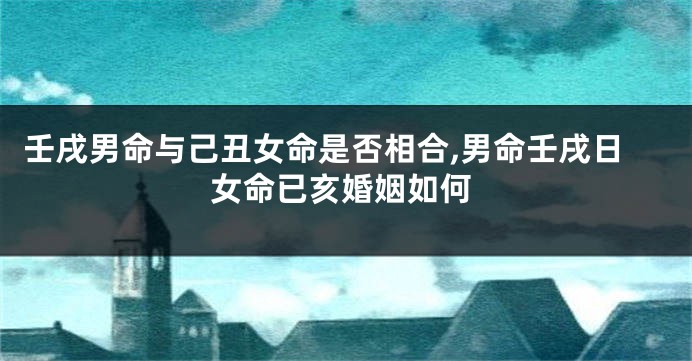 壬戌男命与己丑女命是否相合,男命壬戌日女命已亥婚姻如何