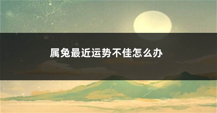 属兔最近运势不佳怎么办